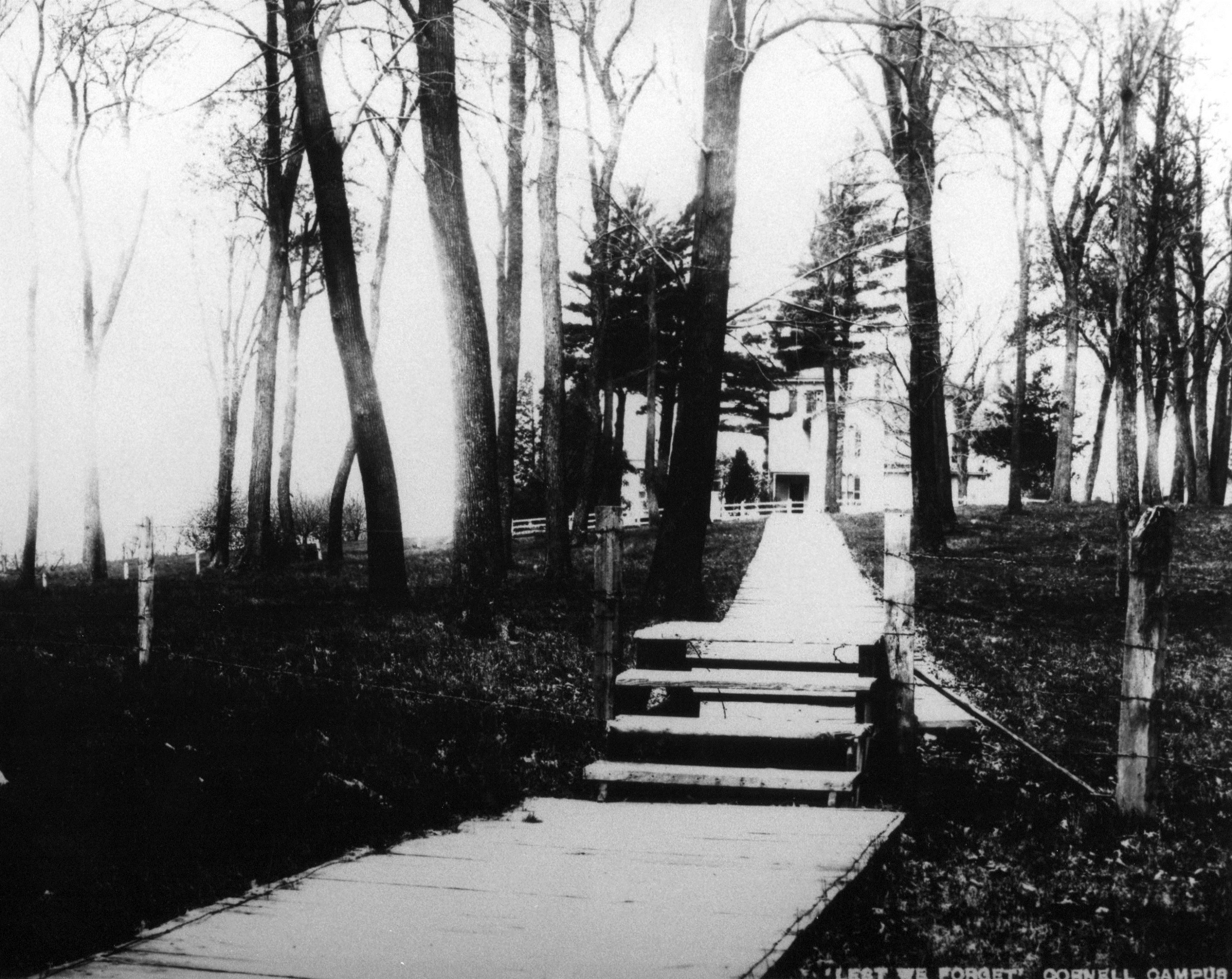 photo of Boardwalk to President's House