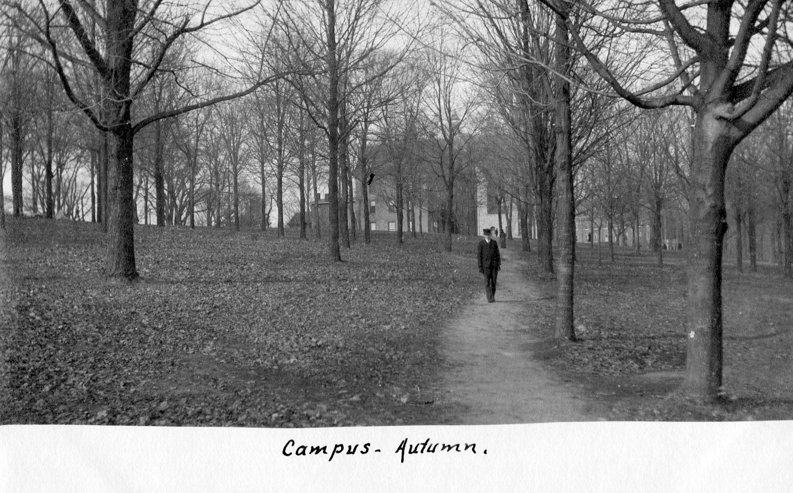 photo of Fall Cornell College Postcard