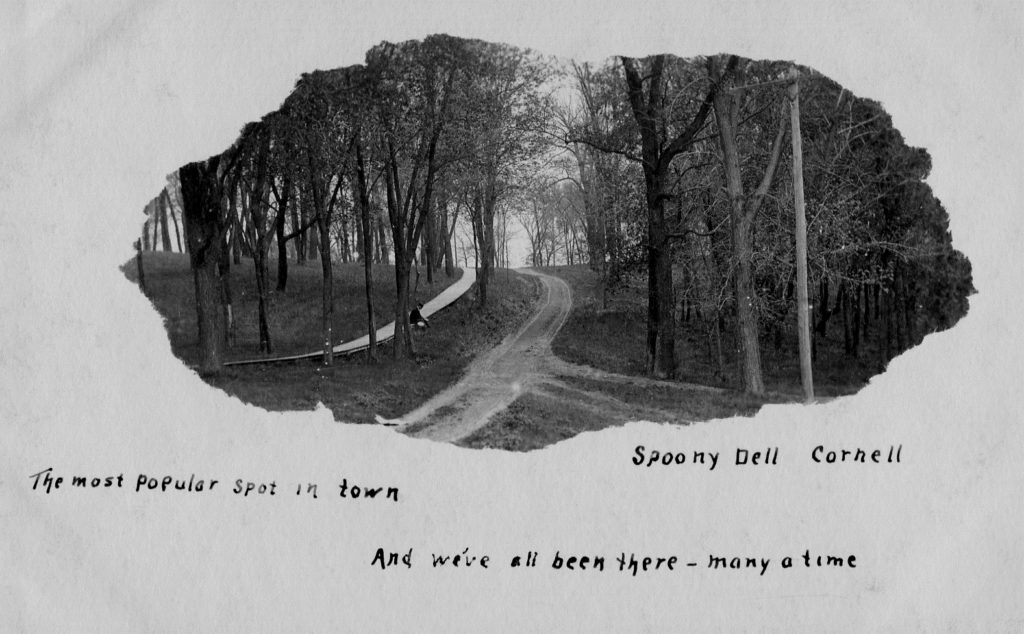 photo of Lover's Lane near Cornell College