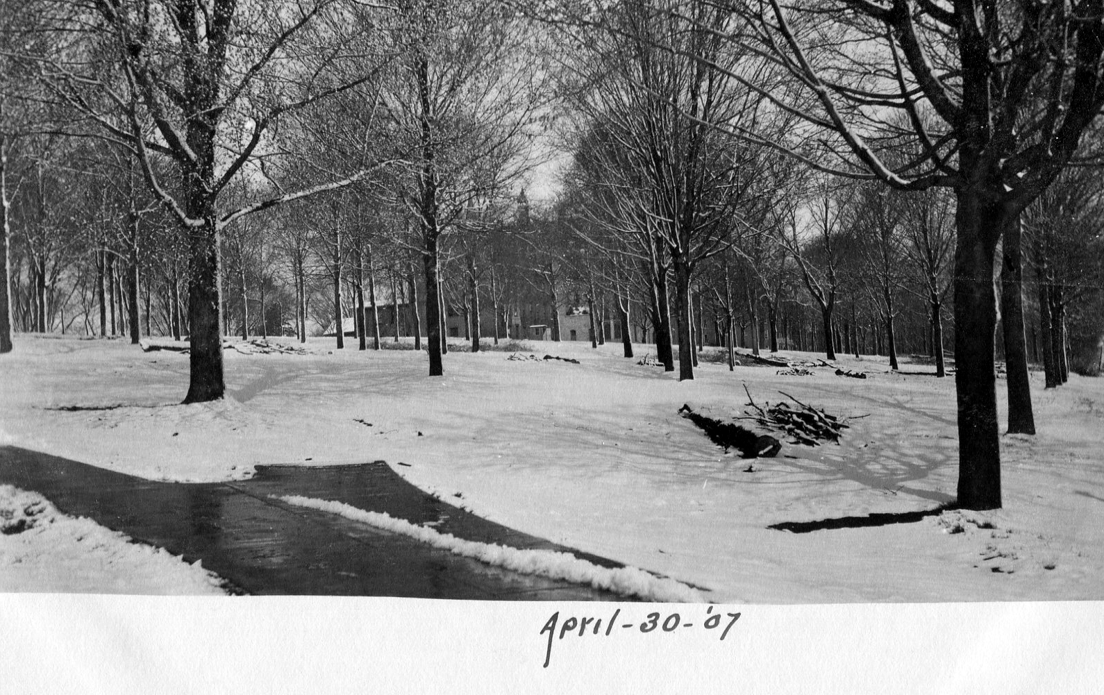 photo of Snowy Cornell Campus Postcard