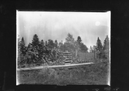 photo of Cemetery Boardwalk