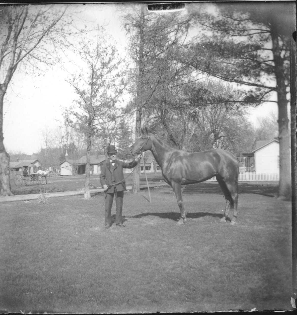 photo of Man with Horse