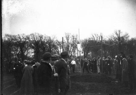 photo of Picnic and Games