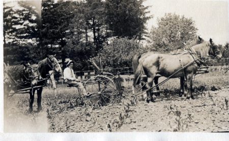 photo of Unidentified Farmer
