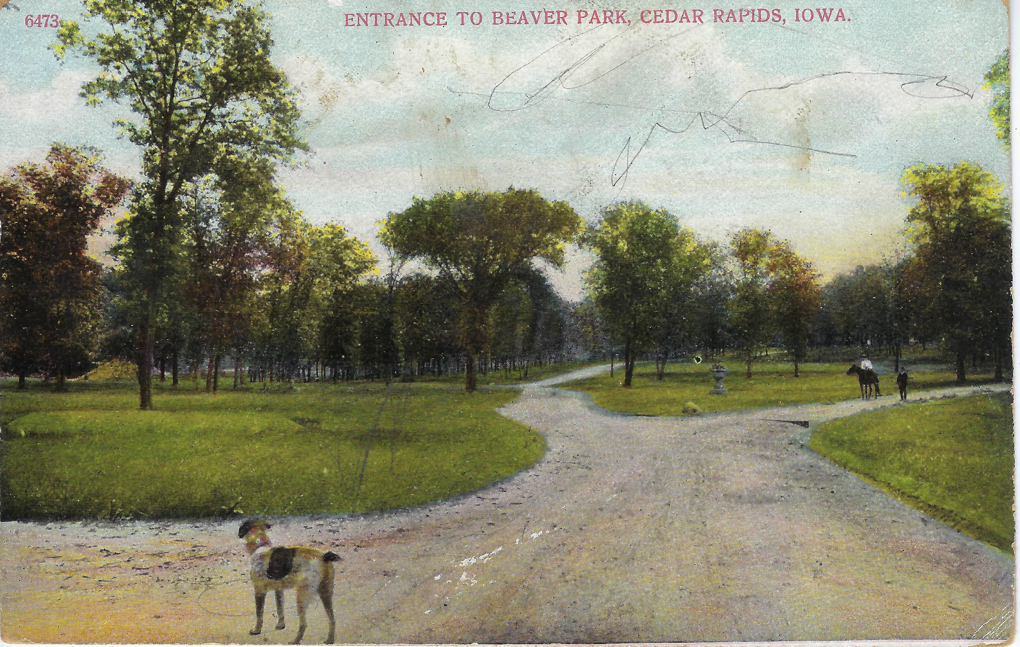 Photo of Beaver Park Postcard in Cedar Rapids