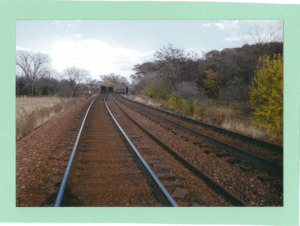 Railroad tracks surrounded by trees and prairie grass.