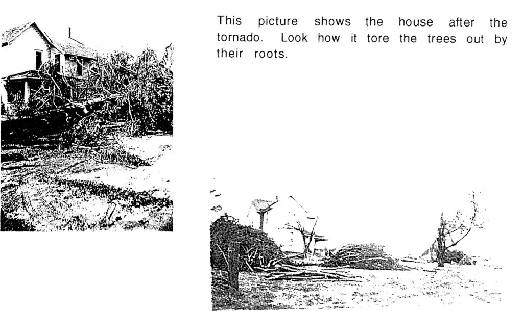 Photo of tornado damage; doens of trees were uprooted and lay strewn about the yard.