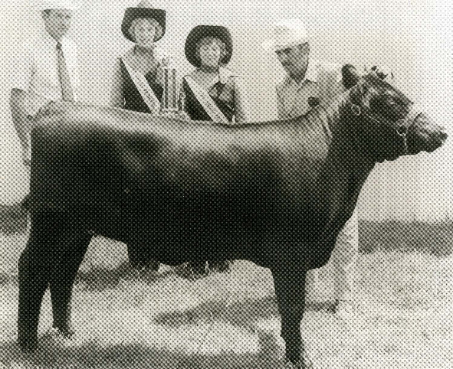 Milo Wolrab showing his reserve champion heifer.